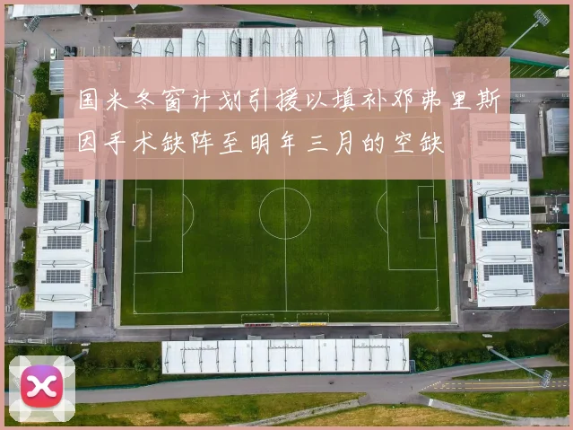 国米冬窗计划引援以填补邓弗里斯因手术缺阵至明年三月的空缺