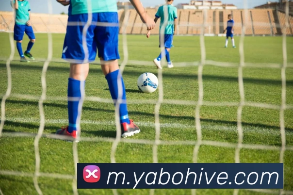 亚博体育服务体系